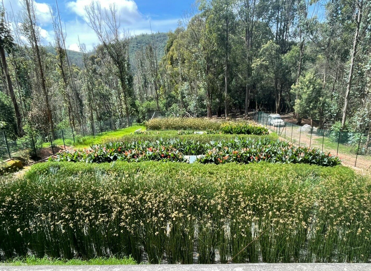 The Lawrence School, Lovedale